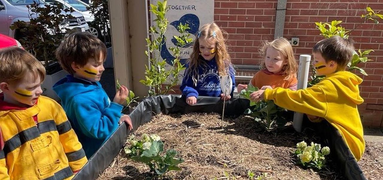 A garden for all in Lobethal • Adelaide Hills Council